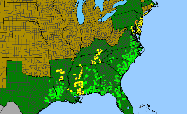 The range of Platanthera cristata